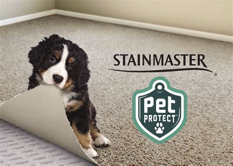 Stainmaster petprotect carpet - Grid. STAINMASTER PetProtect. Honeycomb 20-mil x 7-in W x 48-in L Waterproof and Water Resistant Interlocking Luxury Vinyl Plank Flooring (18.57-sq ft/ Carton) Model # LWD4723SM. 43. • STAINMASTER® PetProtect® 100% waterproof luxury vinyl plank flooring is wear- resistant, scratch resistant, and easy to install; ideal for homes with pets.